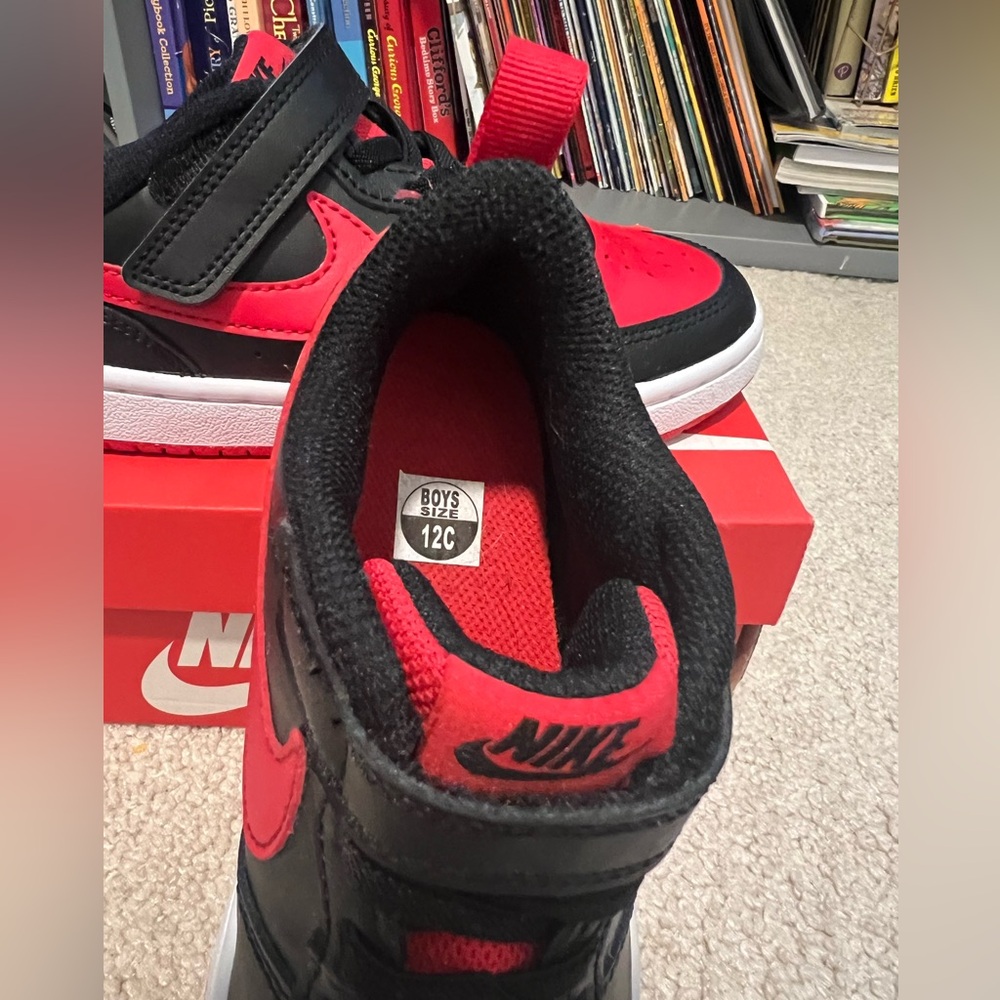 Nike boys dunks